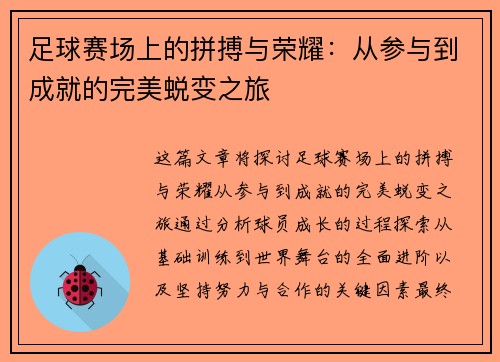 足球赛场上的拼搏与荣耀：从参与到成就的完美蜕变之旅