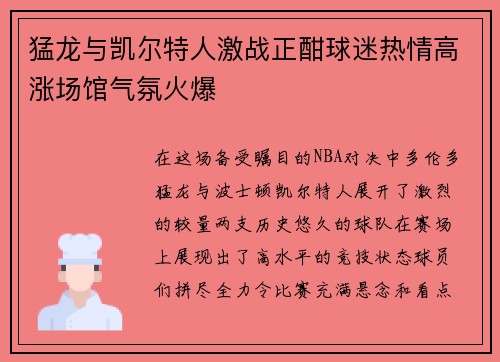 猛龙与凯尔特人激战正酣球迷热情高涨场馆气氛火爆