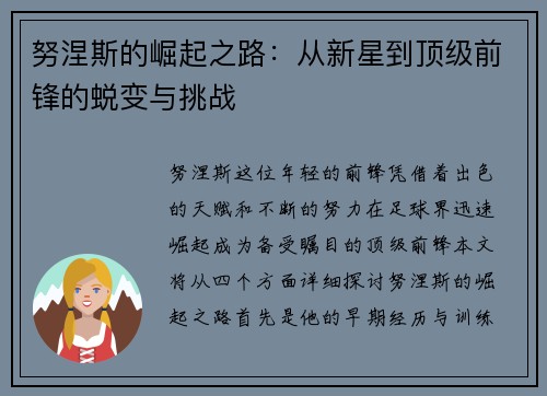 努涅斯的崛起之路：从新星到顶级前锋的蜕变与挑战