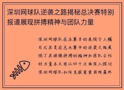 深圳网球队逆袭之路揭秘总决赛特别报道展现拼搏精神与团队力量